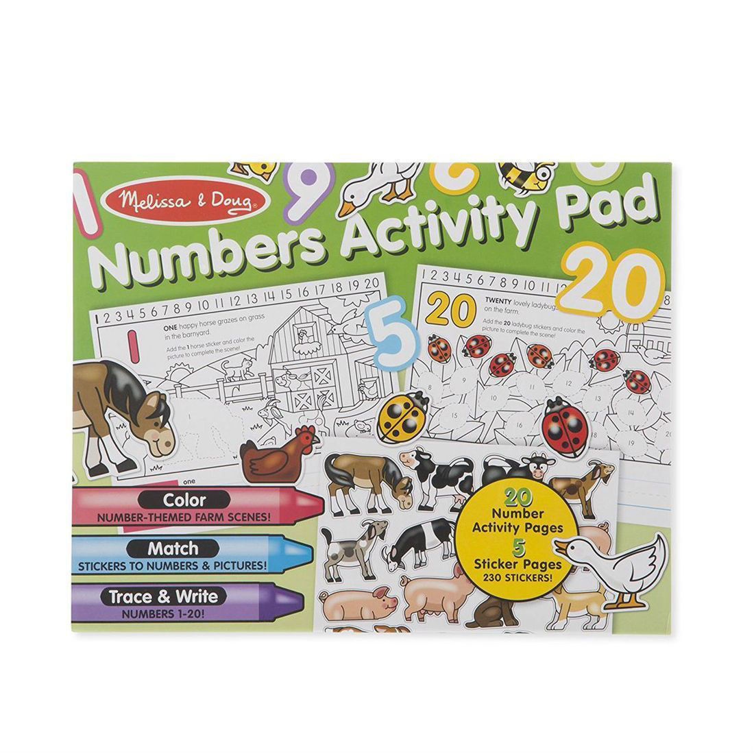 Counting Pad Numbers Activity Pad - Little Thinkers Educational Toys and Books UAE